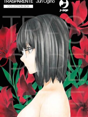 TRASPARENTE BOX (1-4)