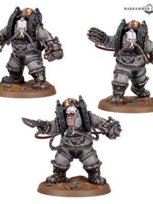 Charonite Ogryn Section